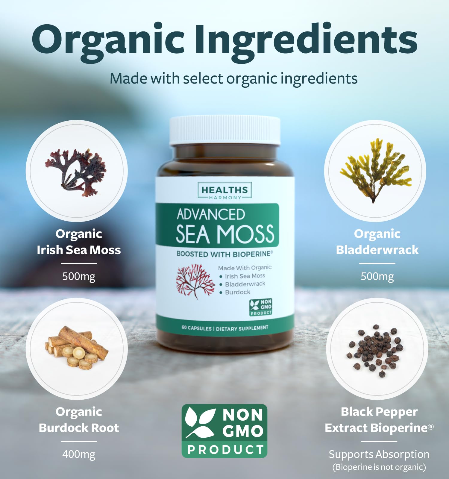 Black Seed Sea Moss 1 Month Supply Nourishing Nature Bundle Of black-seed-sea-moss-1-month-supply-nourishing-nature-bundle-of